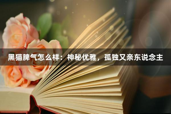 黑猫脾气怎么样：神秘优雅，孤独又亲东说念主