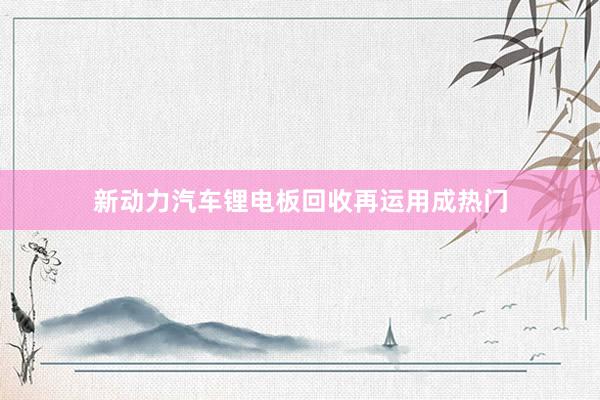 新动力汽车锂电板回收再运用成热门