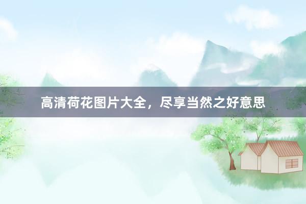 高清荷花图片大全，尽享当然之好意思
