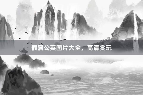 假蒲公英图片大全，高清赏玩